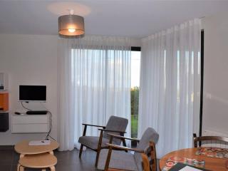 Maison neuve à Trégastel avec WIFI, terrasse en bois et classée 3 étoiles, près des plages - FR-1-368-72 - 2