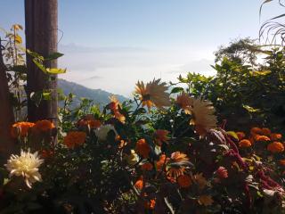 Unique point home stay - 9