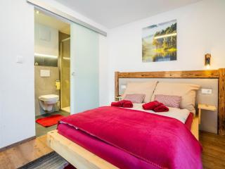 Flat with whirlpool near the Wildkogel ski area - Neukirchen am Grossvenediger - 6