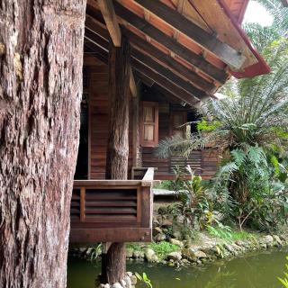 Sahom Valley Resort - Agro & Eco Park - Kampar - 9