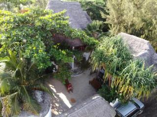 Wonderful Ocean Villa - Jambiani - 8