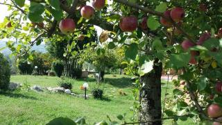 I Giardini Di Eidos - 1