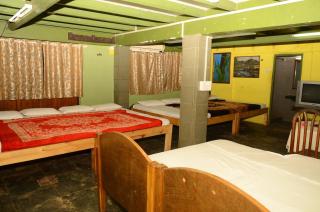 Falcon Resorts by Dia Hotels - Calangute - 3