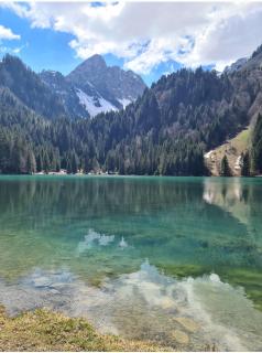 Alpine 1 bed Chalet with beautiful views - Le Biot - 5