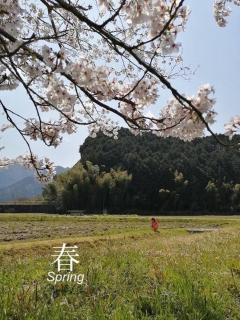 Twinkle Villa - Kokuryō - 6
