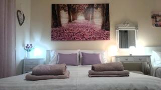 Luxury seafront house nearby Delphi - 8