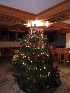 Pension Steinerhof - 6