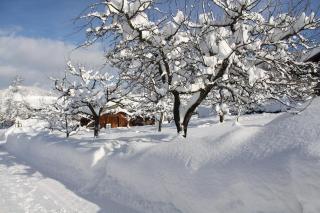 Chalet Menkenhof - Reit im Winkl - 7