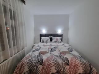 Apartmani "Vila Jelena" Arandjelovac - Aranđelovac - 3