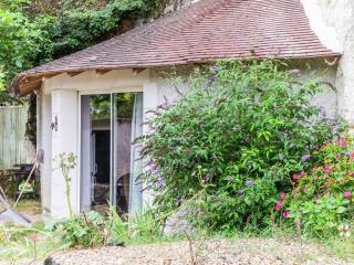 Unique troglodyte house in the Loire Valley! - Faverolles - 2