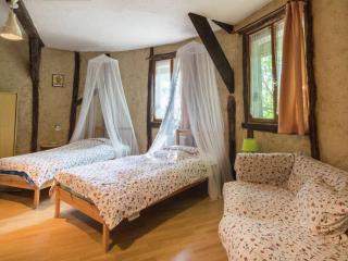 Unique troglodyte house in the Loire Valley! - Faverolles - 8