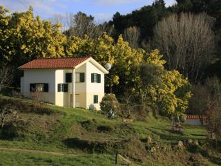 Detached holiday home with shared pool and views - Covas - 0