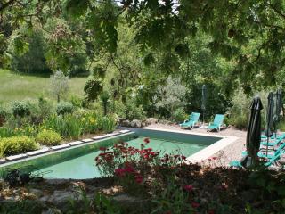 Holiday Home in Covas near Serra da Estrela - Covas - 3