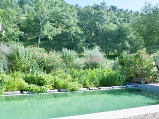 Holiday Home in Covas near Serra da Estrela - Covas - 6