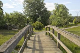 A Tale of Tranquility - Ocean Pines - 9