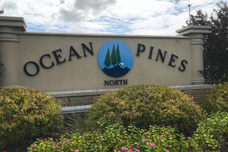 A Tale of Tranquility - Ocean Pines - 8