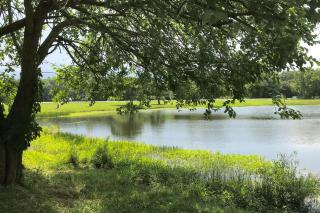 A Tale of Tranquility - Ocean Pines - 5