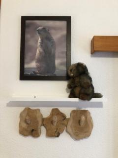 Le chalet de "Lamarmotte" T3 rénové avec terrasse sud en rez de jardin - 1