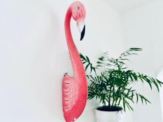Coliving Napoléon III - Ajaccio - 7