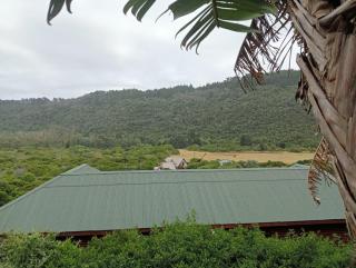Pearly Beach House - 2