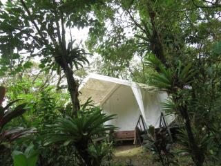 Glamping Rio Celeste Heliconia - San Rafael - 7