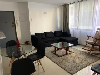 Departamento centro Viñadel Mar, al lado de la Quinta Vergara - 7