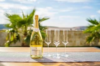Villa Danijela, brand new villa with private pool - Stara Novalja - 2