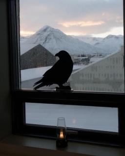 Scenic Penthouse - Ocean view & skylight windows - Siglufjörður - 2