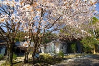 Forest Inn Born - Yufu - 9
