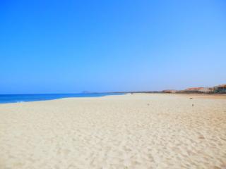 BCV - Private 2 Bed Penthouse Apartment with Pool View Dunas Resort 4044 - 5