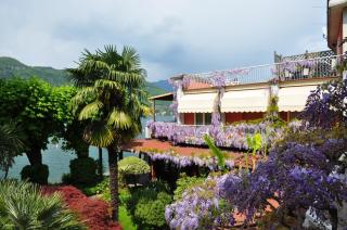 Hotel Garden Zorzi - San Felice del Benaco - 7