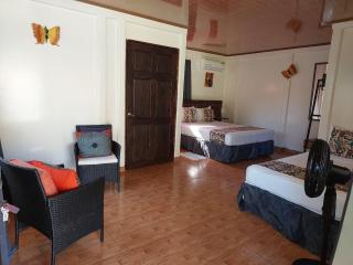 Chinitas Eco Lodge - Tortuguero - 3