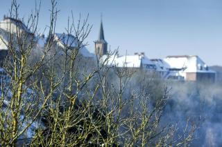 Spa Hôtel Restaurant Au Lion d'Or - 2