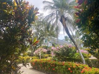 Las Palmas Eco Residence - Las Terrenas - 1