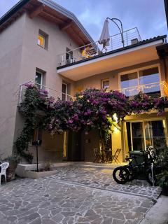 Bea Trees - Lake Garda - 2