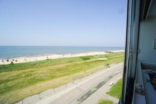 Haus-Seehund-16 - Cuxhaven - 2
