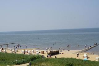Haus-Seehund-16 - Cuxhaven - 1