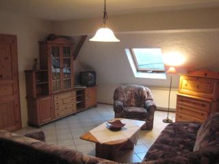 Terrace Apartment by the Zoo - Riedenburg - 9