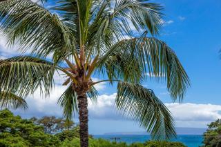 Close to the ocean shops restaurants and surf lessons MV2223 - Kihei - 6