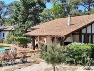 Grande maison landaise avec piscine privée, proche plage, pour 8 personnes à Biscarrosse - FR-1-319-398 - 9