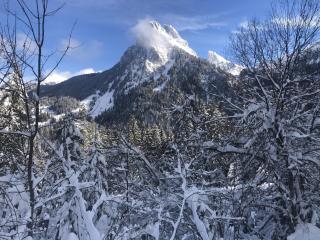 Appartement cosy à Bernex, proche des pistes et sentiers, avec terrasse ensoleillée et wifi. - FR-1-498-22 - 7