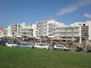 Studio Cabine en Front de Mer à Biscarrosse Plage - FR-1-521-42 - Biscarrosse-Plage - 8