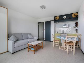 Studio Cabine en Front de Mer à Biscarrosse Plage - FR-1-521-42 - Biscarrosse-Plage - 3