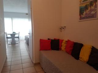 Studio climatisé 2/3 pers proche plage et commerces, balcon, Wi-Fi, parking dispo - FR-1-466A-7 - Saint-Raphaël - 8