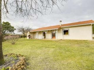 Maison plain-pied à Biscarrosse avec jardin clos, terrasse et parking pour 6 personnes - FR-1-521-105 - Biscarrosse - 8