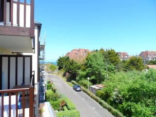 Appartement 2P à Cabourg, proche plage, animaux admis, terrasse - FR-1-487-293 - Cabourg - 7