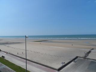 Appartement avec terrasse panoramique, acceptant les animaux, parking - FR-1-487-281 - Cabourg - 0