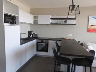 Appartement luxe 2 chambres, balcon, accès plage, piscine, animaux admis, parking - FR-1-194-236 - 8