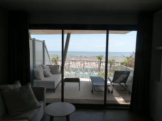 Appartement luxe 2 chambres, balcon, accès plage, piscine, animaux admis, parking - FR-1-194-236 - 2