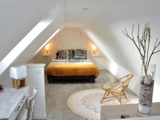 Maison de charme 3* avec jardin clos, terrasse, WIFI à 60m du Port de Perros-Guirec - FR-1-368-79 - Perros-Guirec - 1